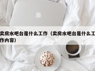 青岛卖房水吧台是什么工作（卖房水吧台是什么工作内容）