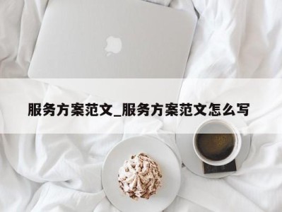 青岛服务方案范文_服务方案范文怎么写 